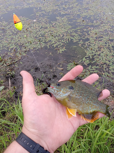 Harrington & Sons Bait Co. - Thumbnail