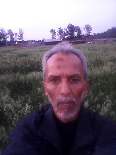 Photos of جردينة المقاوبه