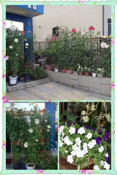 洗濯館くみやま店