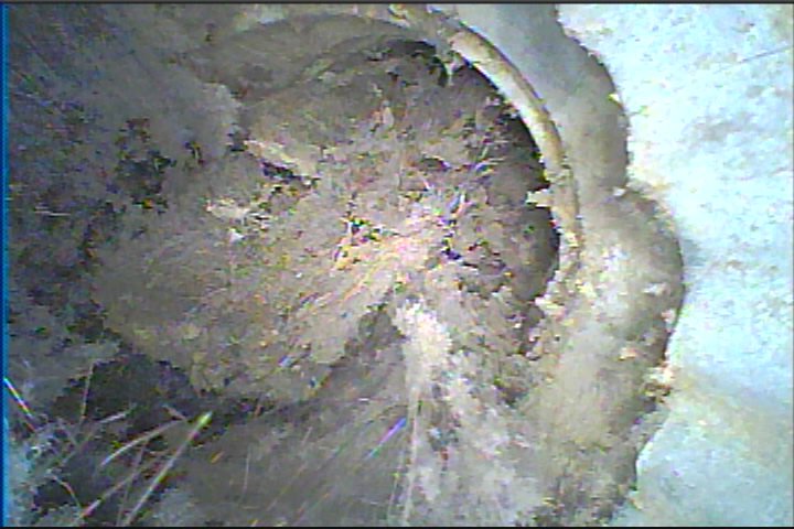 JWG Air Duct & Dryer Vent Cleaning And Chimney Repair Services Of WA thumbnail 3