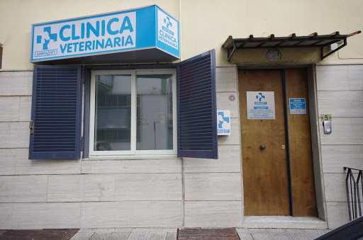 ANIMALVET - Thumbnail