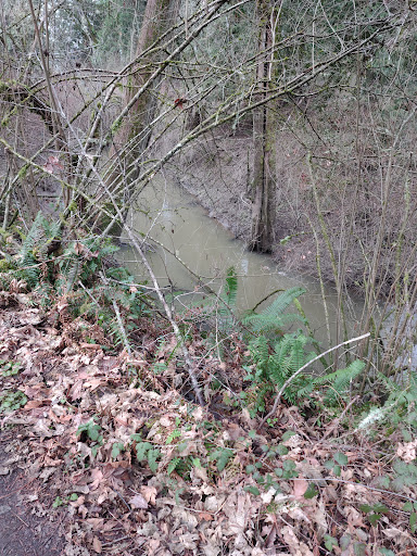 Main/River Trail - Visual