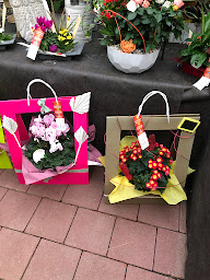 Photo n°22 de Pépinière Côté Jardin à Valentigney (Jardinerie)