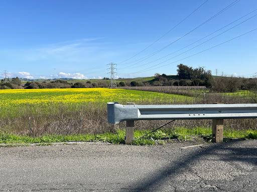 Petaluma Blvd & Corona Rd - Thumbnail