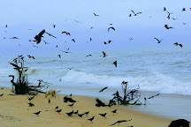 Ullal Beach, Ullal, India