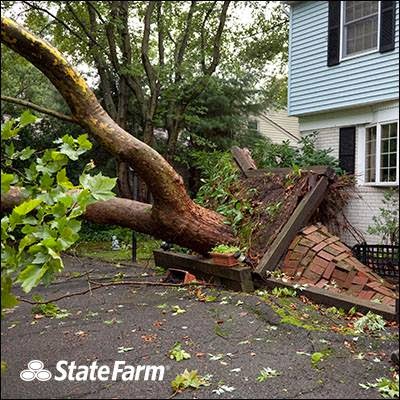 State Farm: James B Lavelle Gallery - United States