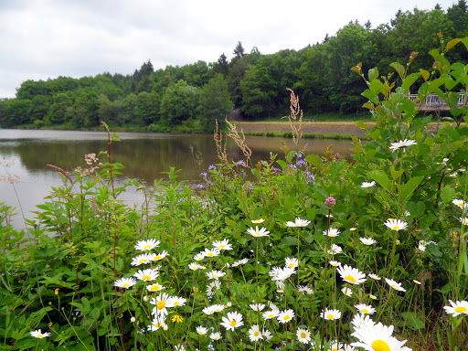 Stausee Arzfeld - Visual