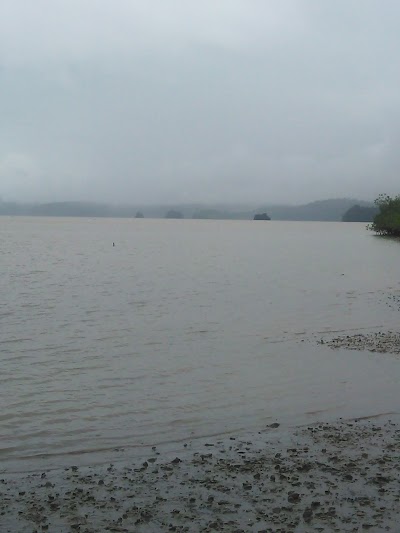 Photos of COLONO PUERTO JIMENEZ
