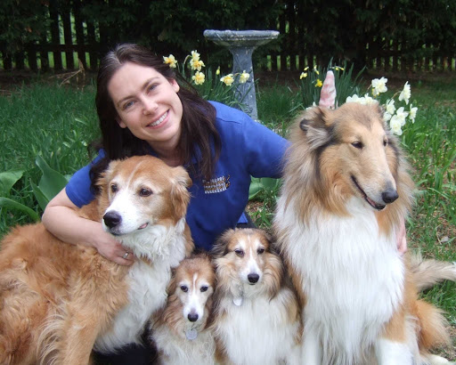 Healthy Pet Mobile Vet - Thumbnail