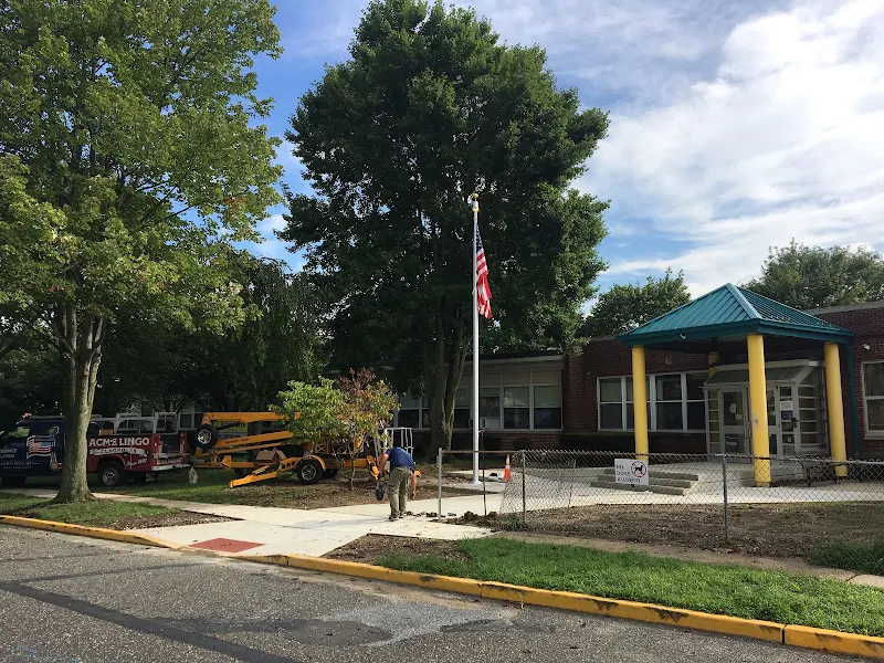 Ralph J. Steinhauer Elementary School photo