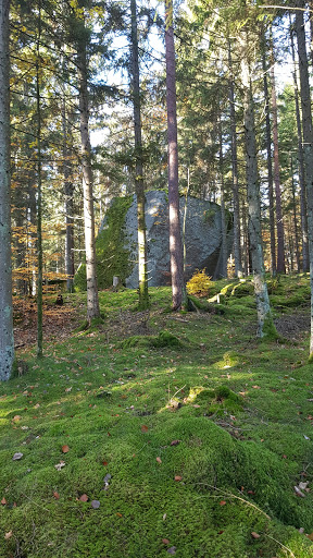 Fridlevstadsskogen - Visual