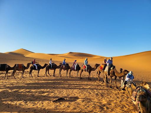 Starry Morocco Tours & Excursions From Marrakech