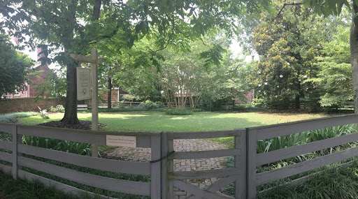 Reed Square - Visual