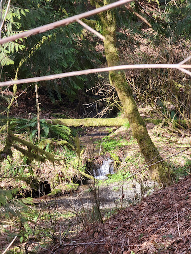 Skookum Inlet Natural Area Preserve - Thumbnail