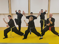 Dragon rouge - complexe sportif Colette Besson à Romainville