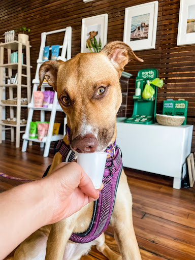 Boho + Bark - Visual