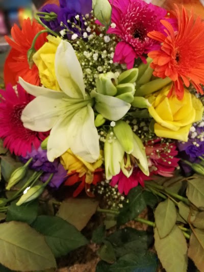 Photos of Zaher flowers
