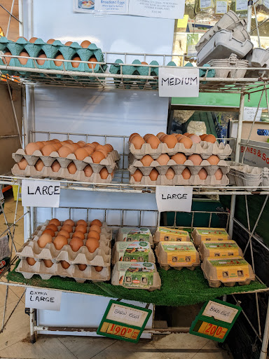 Waterloo Stores - Visual