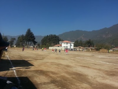 Photos of monrovia gyt continetal
