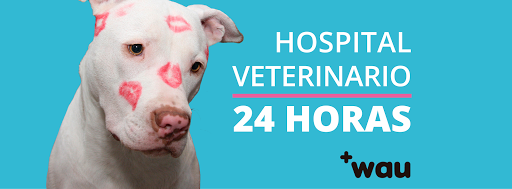 Wau Hospital Veterinario