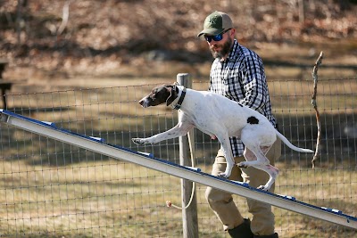 Quinebaug Kennels: QK Dogs