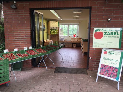 Obstplantage Zabel - Thumbnail