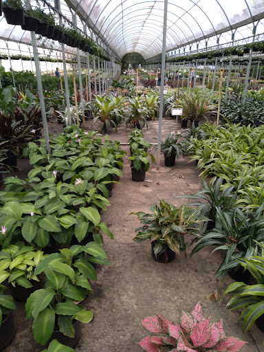 Byron Pike Nursery - Thumbnail