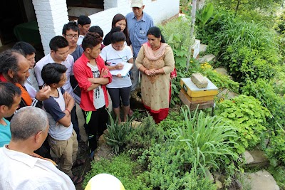 Photos of HASERA Permaculture Learning Center