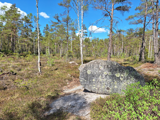 Minnesmärke Dannikekvinnan