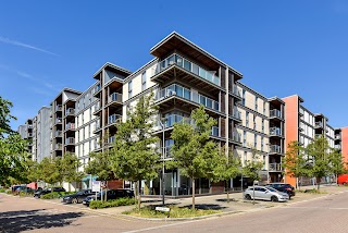 The Vizion - Serviced Apartments (Pincott Properties)
