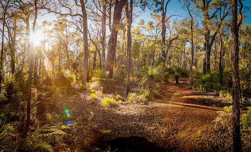 Shire of Serpentine-Jarrahdale - Thumbnail