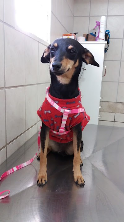 veterinary-care