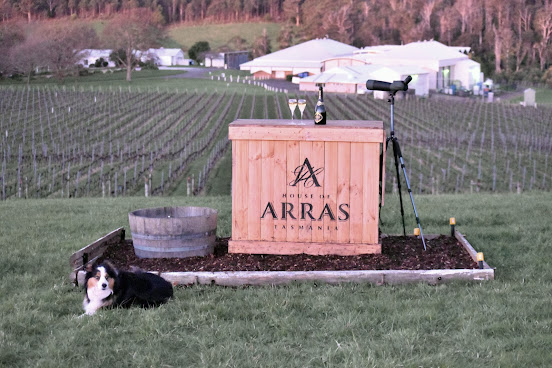 House Of Arras by null