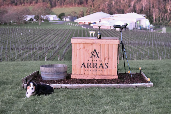 House Of Arras by null