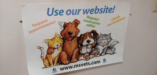 Main Street Veterinary Service - Thumbnail
