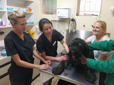 Photos of St Francis Animal Clinic