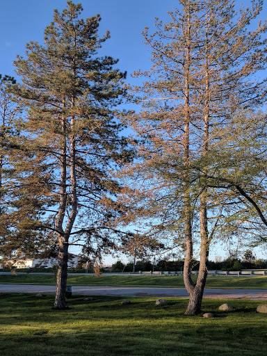 Vassar Roadside Park Gallery - United States