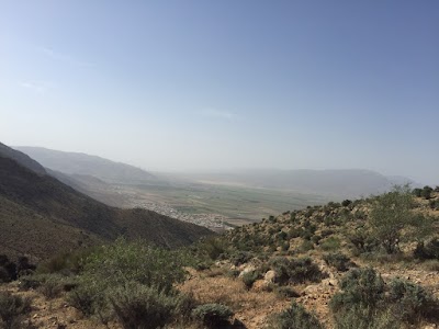Photos of گاوداری ضرغامی