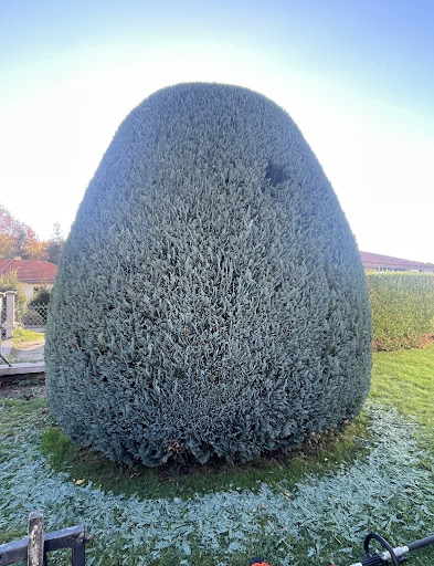 ENT.S.RODIER Paysagiste et Elagueur