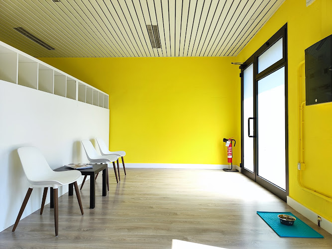 EstetiDOG Toelettatura