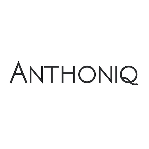 Anthoniq - Visual