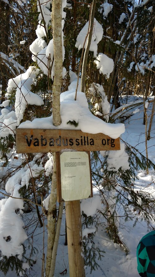 Voorepalu Põrgurada