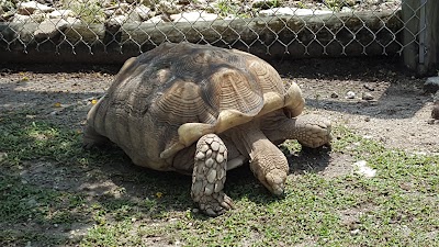 Photos of Gator Park