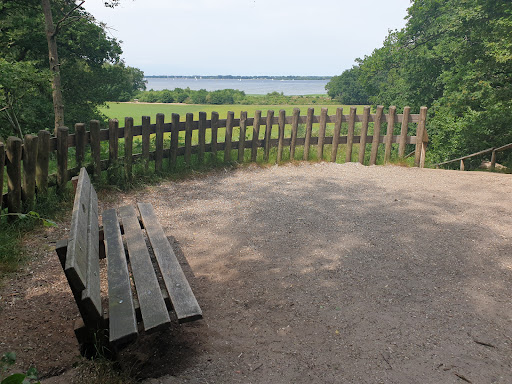 Goois Natuurreservaat Naarder Eng