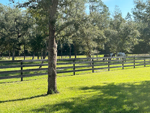 Sierra Stables - Visual