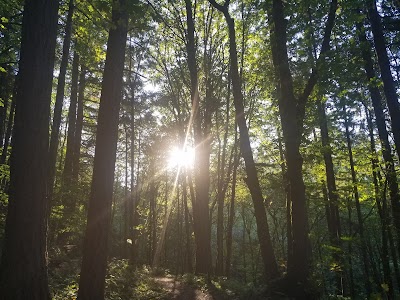 Bull Mountain Park