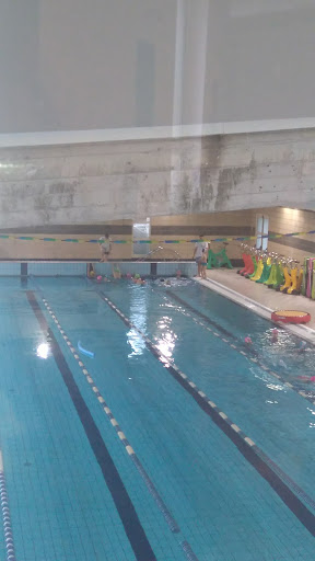 Water and Fitness Saltrio - Lombardy Swimming - Thumbnail