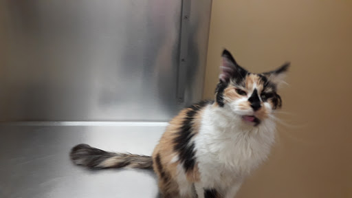 Animal General of Cranberry Twp. - Thumbnail
