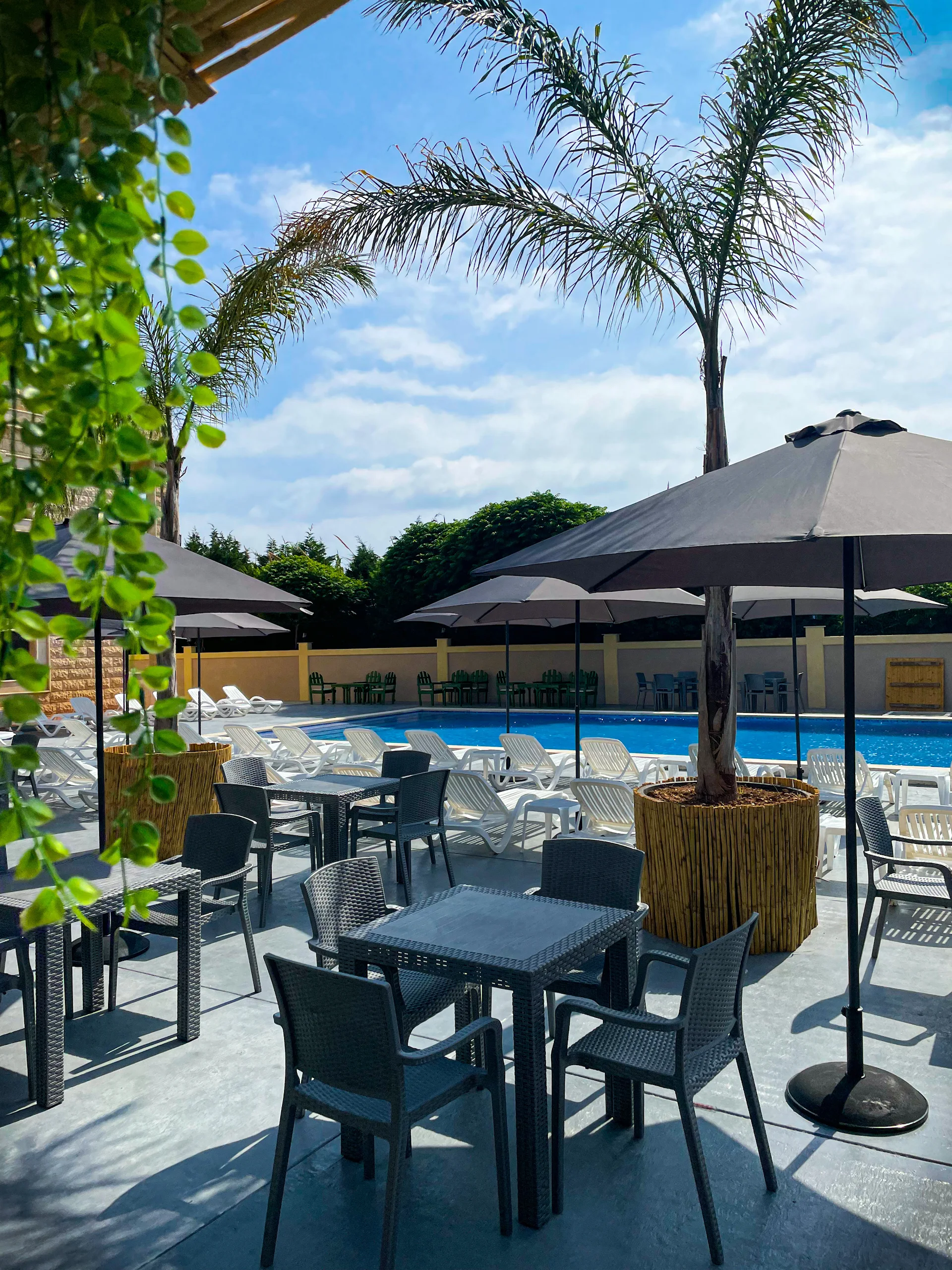 The Cane motel & poolbar