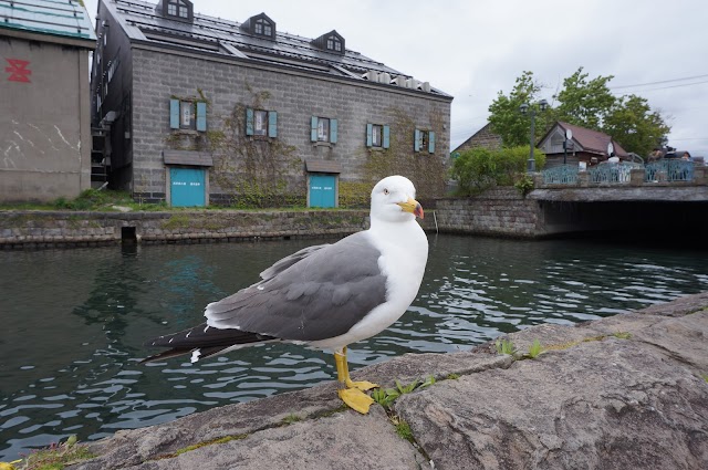 Otaru Canal